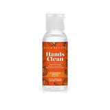 Hands Clean Pumpkin Spice Moisturizing Hand Sanitizer