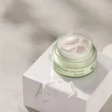 Phyto Plump Collagen Night Cream