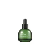Green Tea Seed Oil