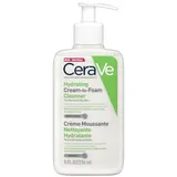 Cream to Foam Cleanser
