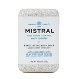 Exfoliating Body Soap