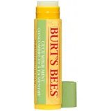 100% Natural Moisturising Cucumber Mint Lip Balm