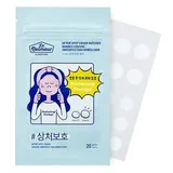 THE FACE SHOP - Dr. Belmeur Clarifying After Spot Cover Patches
