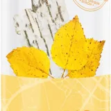 Feeling Beautiful - Freeman Nordic Birch Toner