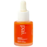 Pai Skincare - Skincare Rosehip Bioregenerate Rosehip Seed and Fruit Universal Face Oil