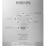 Meso Infusion Overnight Micro Mask