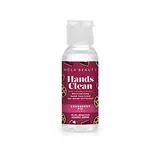 Hands Clean Cranberry Pie Moisturizing Hand Sanitizer