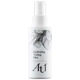 Skincare Hydrating Toning Mist