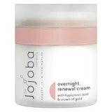 Overnight Renewal Cream