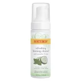 Burt's Bees - Skin Nourishment Gentle Foaming Cleanser for Normal to Combination Skin