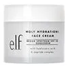 Holy Hydration! Face Cream Broad Spectrum SPF 30 Sunscreen