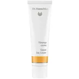 Dr. Hauschka - Face Care Tinted Day Cream