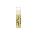 Whipped Shea Butter Lip Balm