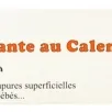 Dr. Theiss - Healing Cream with Calendula