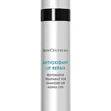 Antioxidant Lip Repair Lip treatment