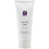 Clay Mint Mask