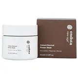 Instant Revival Power Mask