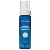 AMELIORATE - Face Care Clarifying Facial Cleanser