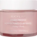 Pore Proof Perfecting Clay Mask