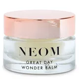 Great Day Wonder Balm