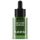 Sepai - Youth Molecule EGF Serum