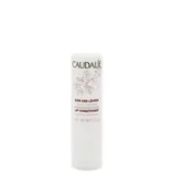 Lip Conditioner