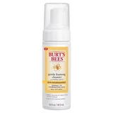 Burt's Bees - Skin Nourishment Gentle Foaming Cleanser