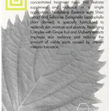 Nano Shiso Revitalizing Face Mask