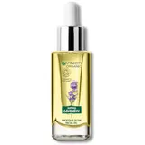 Organic Lavandin Glow Oil