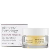 Lip Nourish Plumping Lip Balm