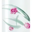 Micellar Cleansing Water