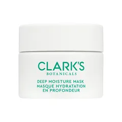 Deep Moisture Mask