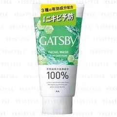 Gatsby Facial Wash Acne Care Foam