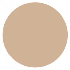 Delarom - Tinted Care Cream