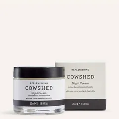 Replenishing Night Cream