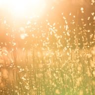 Does salicylic acid (BHA) cause sun sensitivity?