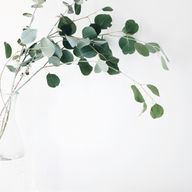 Clean Beauty - Who to Blame & What to Do