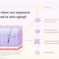 How Does Sunlight Lead to Skin Aging?